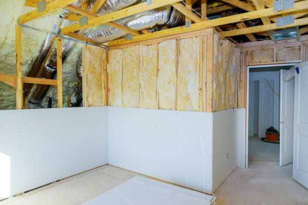 Best Insulation for New Construction  in Jenison, MI